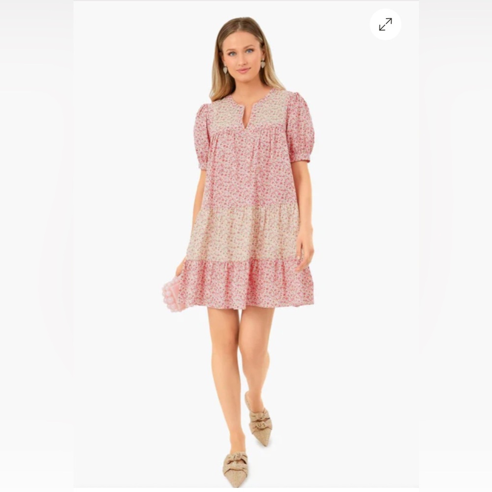 HYACINTH HOUSE
Multi Pink Floral Hana Mini Dress size S